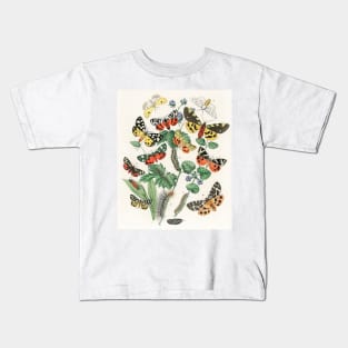 A kaleidoscope of fluttering butterflies and caterpillars (1882) Kids T-Shirt